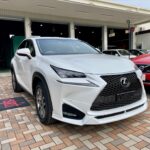 神戸・大阪ガラスコーティング専門店エスプリジャパン　LEXUS・NXにガラスコーティング施工致しました。