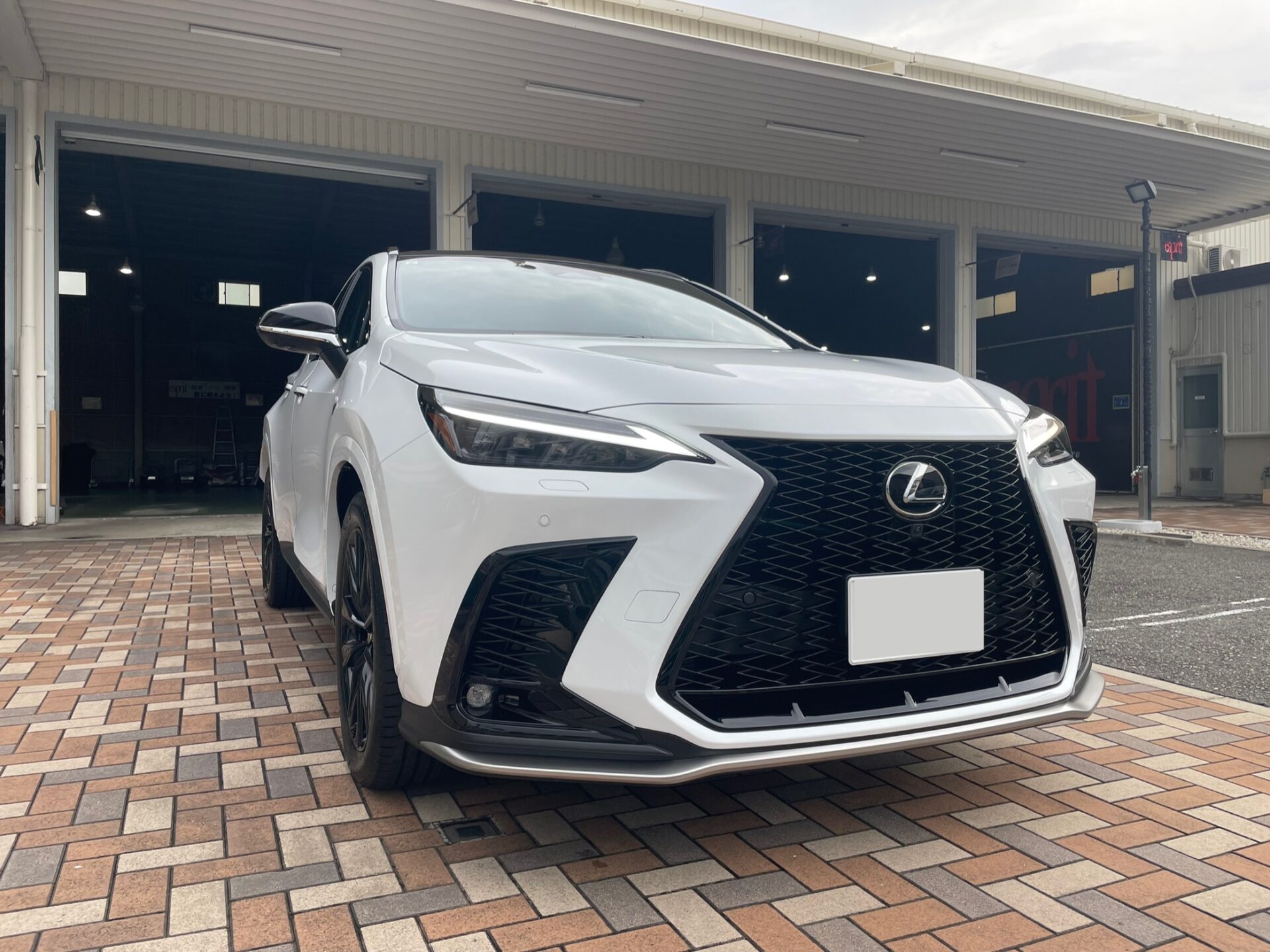 ☆状態良☆【HYS/3rdをセルフカスタム❗】FERGADELIC L❕ FLCL illustrations by Hiromu Arakawa, Hiroyuki Imaishi, and